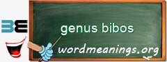 WordMeaning blackboard for genus bibos
